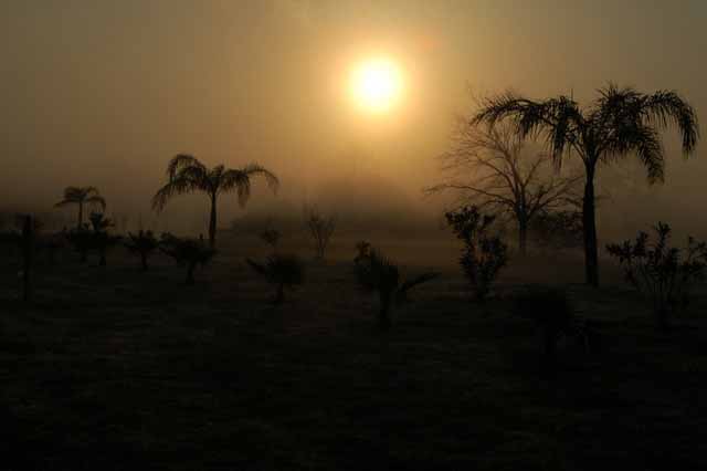 on a foggy morning in dickinson